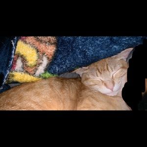 Meet your Posher, Summer